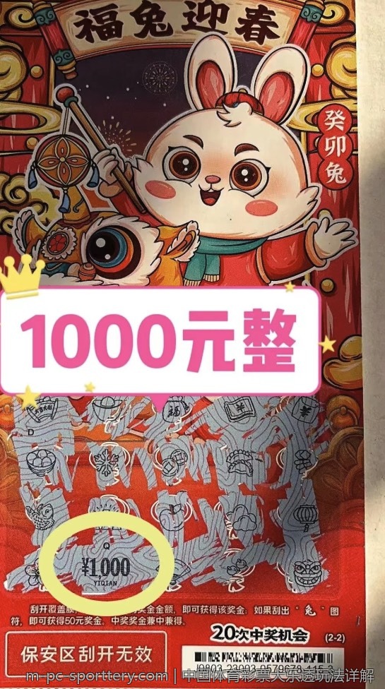 中国体育彩票大乐透玩法详解