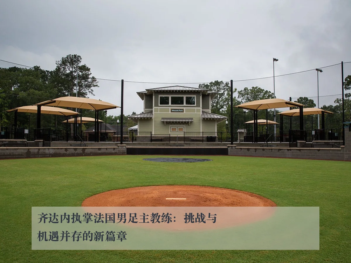 齐达内执掌法国男足主教练:挑战与机遇并存的新篇章